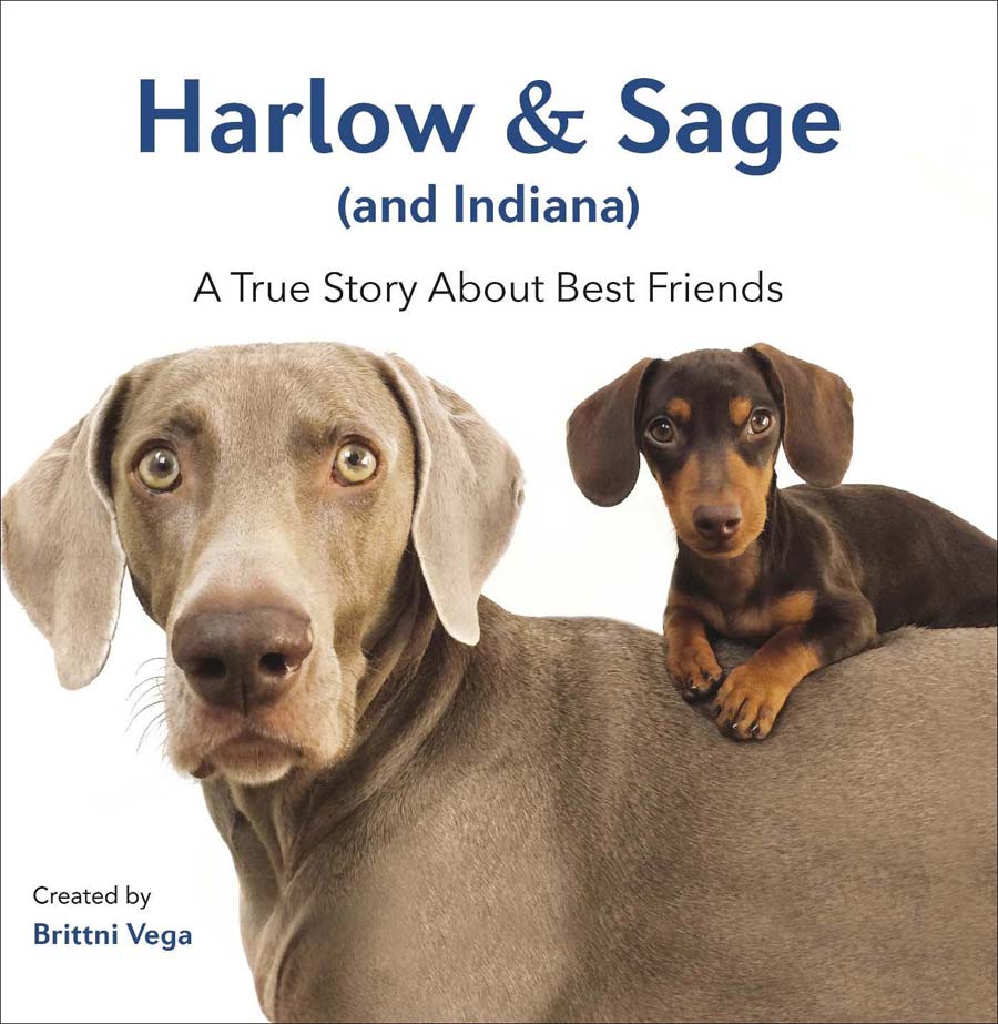 FIDELE-COMME-CHIEN-HARLOW-SAGE-INDIANA-LIVRE-BLOG-LA-COUTCH5