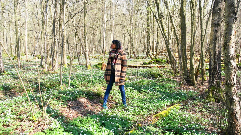 Promenons-nous dans les bois…