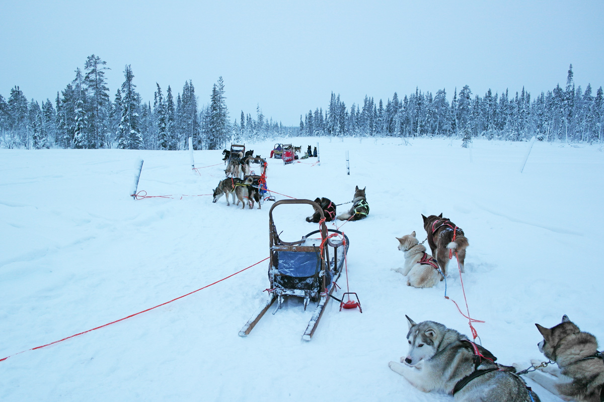 la-coutch-blog-lifestyle-voyage-finlande-laponie-ride-huskies4