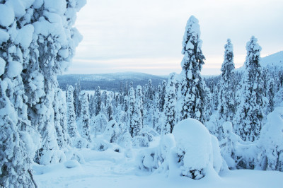 Mon voyage en Laponie : 3 jours de trek en raquettes